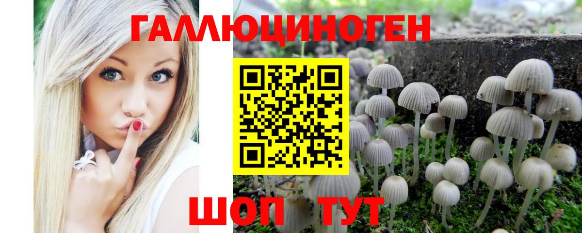 Псилоцибиновые грибы ЛСД  Вход с VPN  Новокузнецк 