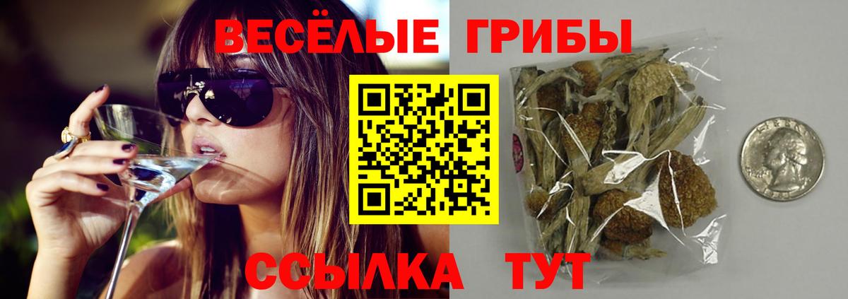 Галлюциногенные грибы мухоморы Новокузнецк
